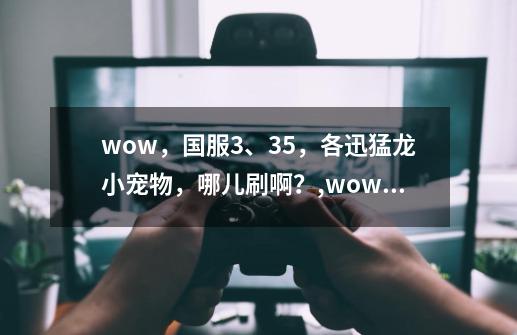 wow，国服3、35，各迅猛龙小宠物，哪儿刷啊？,wow335猎人稀有宠物-第1张-游戏相关-龙启科技