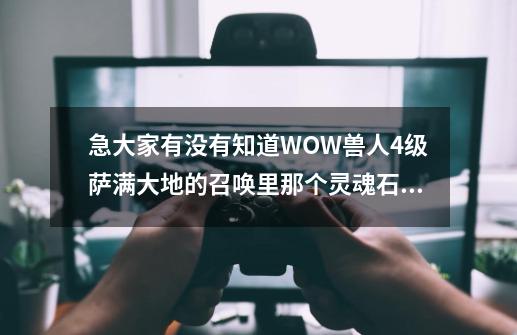 急...大家有没有知道WOW兽人4级萨满大地的召唤里那个灵魂石地在哪里阿？_召唤森林三-第1张-游戏相关-龙启科技