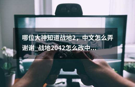 哪位大神知道战地2，中文怎么弄谢谢?_战地2042怎么改中文语音-第1张-游戏相关-龙启科技