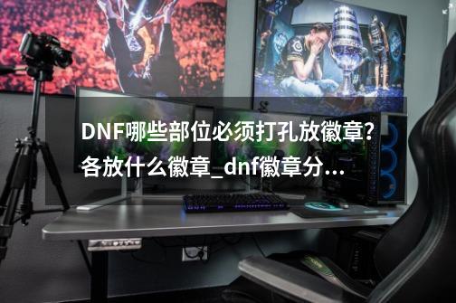 DNF哪些部位必须打孔放徽章？各放什么徽章_dnf徽章分类对应部位-第1张-游戏相关-龙启科技