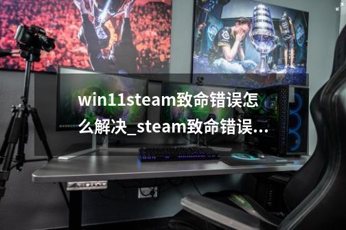 win11steam致命错误怎么解决_steam致命错误解决办法请检查网络-第1张-游戏相关-龙启科技