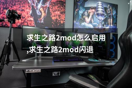 求生之路2mod怎么启用,求生之路2mod闪退-第1张-游戏相关-龙启科技