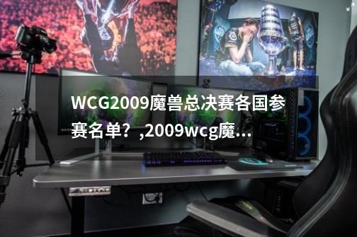 WCG2009魔兽总决赛各国参赛名单？,2009wcg魔兽争霸决赛-第1张-游戏相关-龙启科技