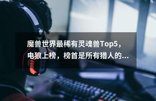 魔兽世界最稀有灵魂兽Top5，电狼上榜，榜首是所有猎人的梦想！_瓦斯琪尔海马账号共享吗-第1张-游戏相关-龙启科技