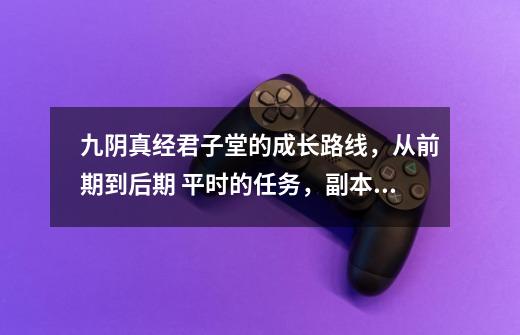 九阴真经君子堂的成长路线，从前期到后期 平时的任务，副本 每天可以干些什么 点技能建议,九阴真经君子堂刺探-第1张-游戏相关-龙启科技