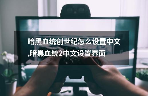 暗黑血统创世纪怎么设置中文,暗黑血统2中文设置界面-第1张-游戏相关-龙启科技