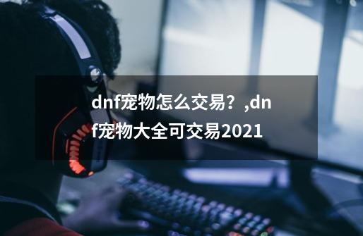 dnf宠物怎么交易？,dnf宠物大全可交易2021-第1张-游戏相关-龙启科技