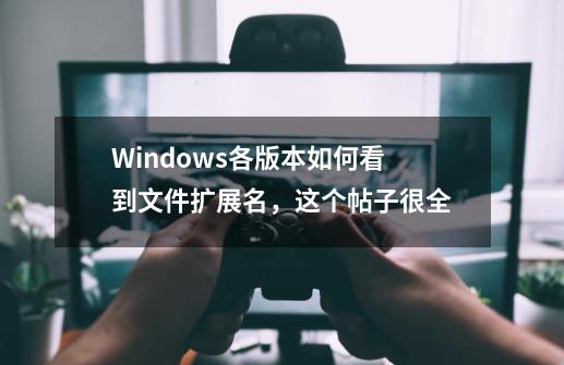 Windows各版本如何看到文件扩展名，这个帖子很全-第1张-游戏相关-龙启科技