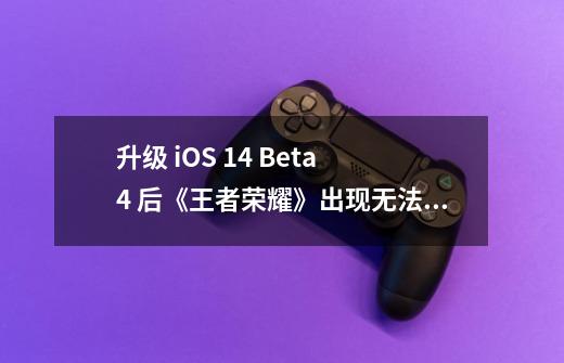 升级 iOS 14 Beta 4 后《王者荣耀》出现无法启动、闪退-第1张-游戏相关-龙启科技