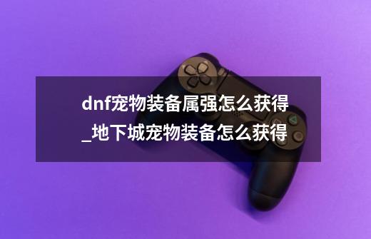 dnf宠物装备属强怎么获得_地下城宠物装备怎么获得-第1张-游戏相关-龙启科技