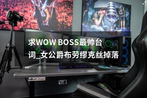 求WOW BOSS最帅台词_女公爵布劳缪克丝掉落-第1张-游戏相关-龙启科技