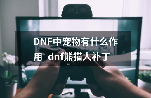 DNF中宠物有什么作用_dnf熊猫人补丁-第1张-游戏相关-龙启科技