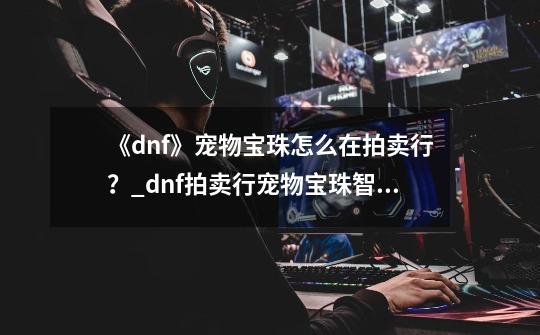 《dnf》宠物宝珠怎么在拍卖行？_dnf拍卖行宠物宝珠智力-第1张-游戏相关-龙启科技