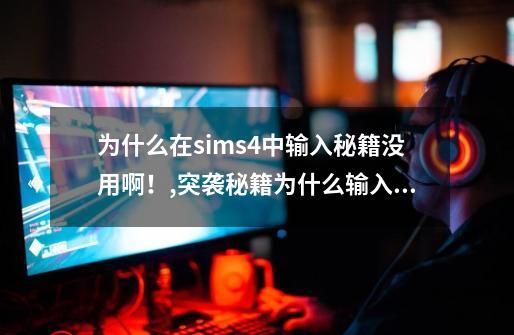 为什么在sims4中输入秘籍没用啊！,突袭秘籍为什么输入秘籍没用-第1张-游戏相关-龙启科技