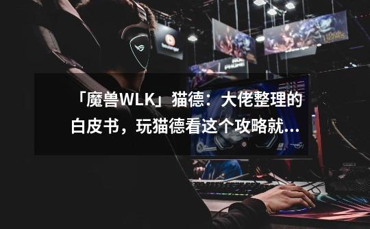 「魔兽WLK」猫德：大佬整理的白皮书，玩猫德看这个攻略就够了(1)-第1张-游戏相关-龙启科技