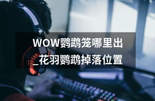 WOW鹦鹉笼哪里出_花羽鹦鹉掉落位置-第1张-游戏相关-龙启科技