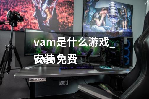 vam是什么游戏_vam免费
安装-第1张-游戏相关-龙启科技