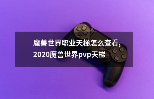 魔兽世界职业天梯怎么查看,2020魔兽世界pvp天梯-第1张-游戏相关-龙启科技