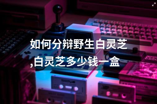 如何分辩野生白灵芝,白灵芝多少钱一盒-第1张-游戏相关-龙启科技