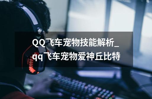 QQ飞车宠物技能解析_qq飞车宠物爱神丘比特-第1张-游戏相关-龙启科技