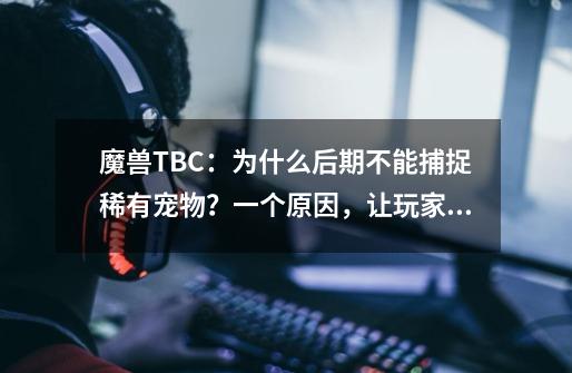 魔兽TBC：为什么后期不能捕捉稀有宠物？一个原因，让玩家崩溃-第1张-游戏相关-龙启科技