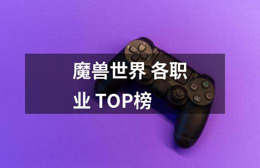 魔兽世界 各职业 TOP榜-第1张-游戏相关-龙启科技