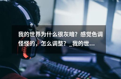 我的世界为什么很灰暗？感觉色调怪怪的，怎么调整？_我的世界很奇怪不管我的试卷-第1张-游戏相关-龙启科技