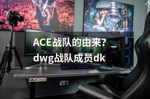 ACE战队的由来？_dwg战队成员dk-第1张-游戏相关-龙启科技