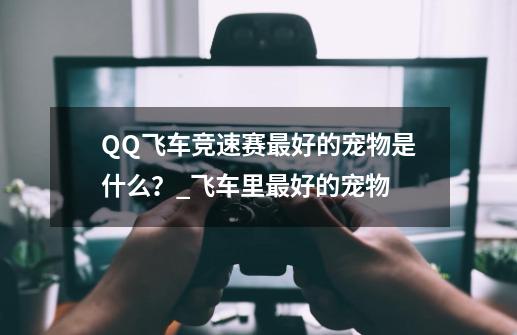 QQ飞车竞速赛最好的宠物是什么？_飞车里最好的宠物-第1张-游戏相关-龙启科技